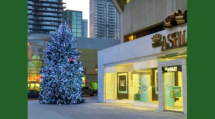 We install larger than life Christmas trees at hot-spots around the city!