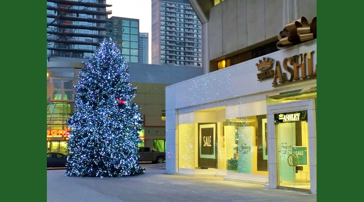 We install larger than life Christmas trees at hot-spots around the city!