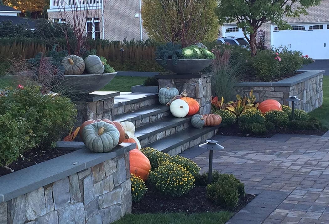 autumn seasonal display & annual beds