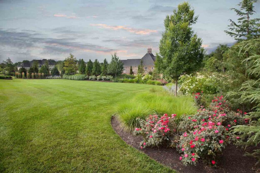 leesburg-landscape-maintenance-garden-management