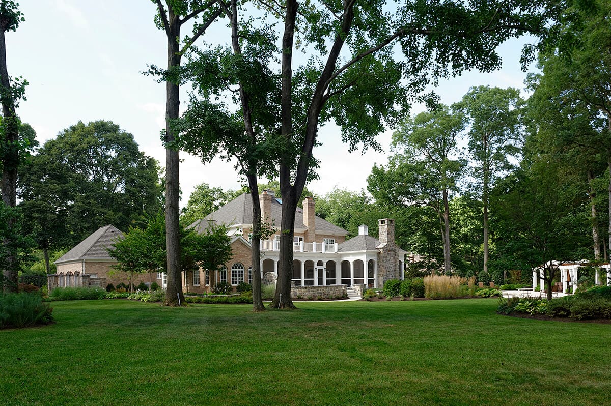 mature landscape with tall trees