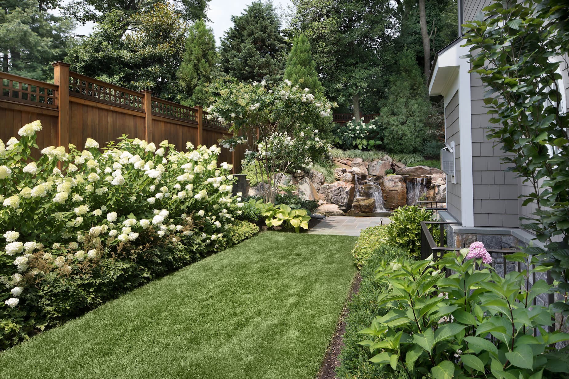 plants on sunny side of the house