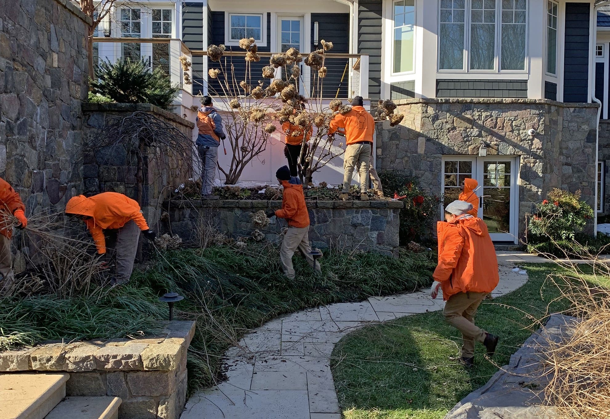 landscape crews pruning plants in winter dormancy
