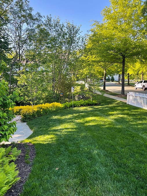 side yard landscape AFTER
