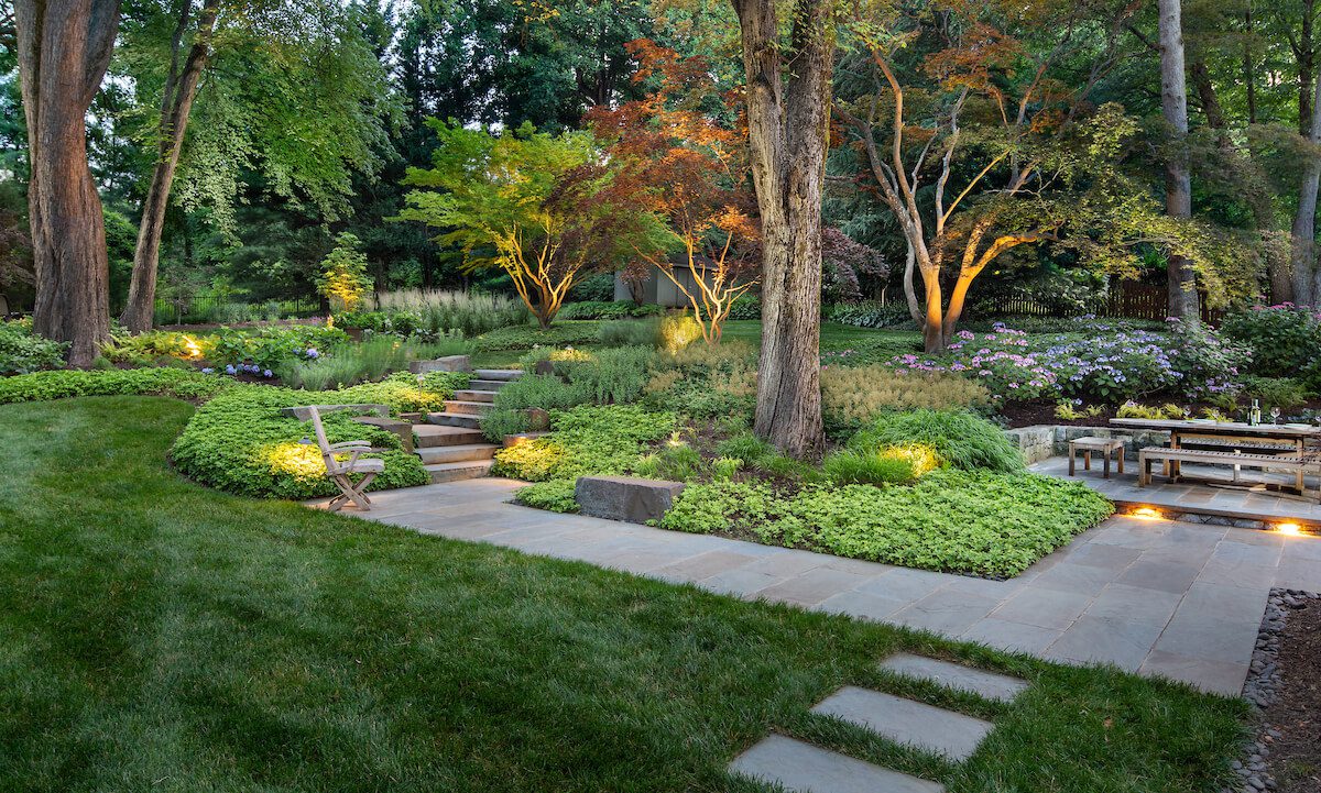 an artfully pruned grouping of crape myrtles